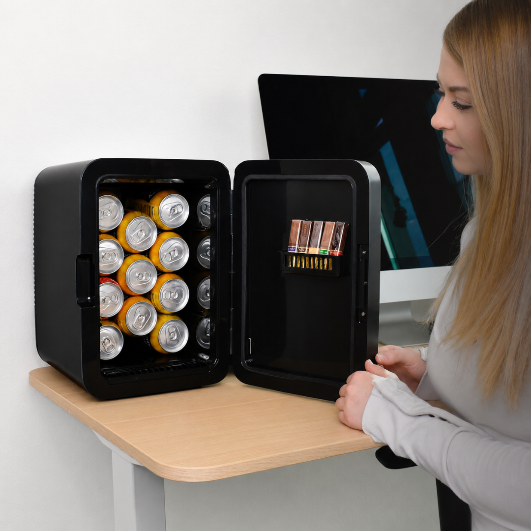 10L Compact Portable Mini Skincare Refrigerator