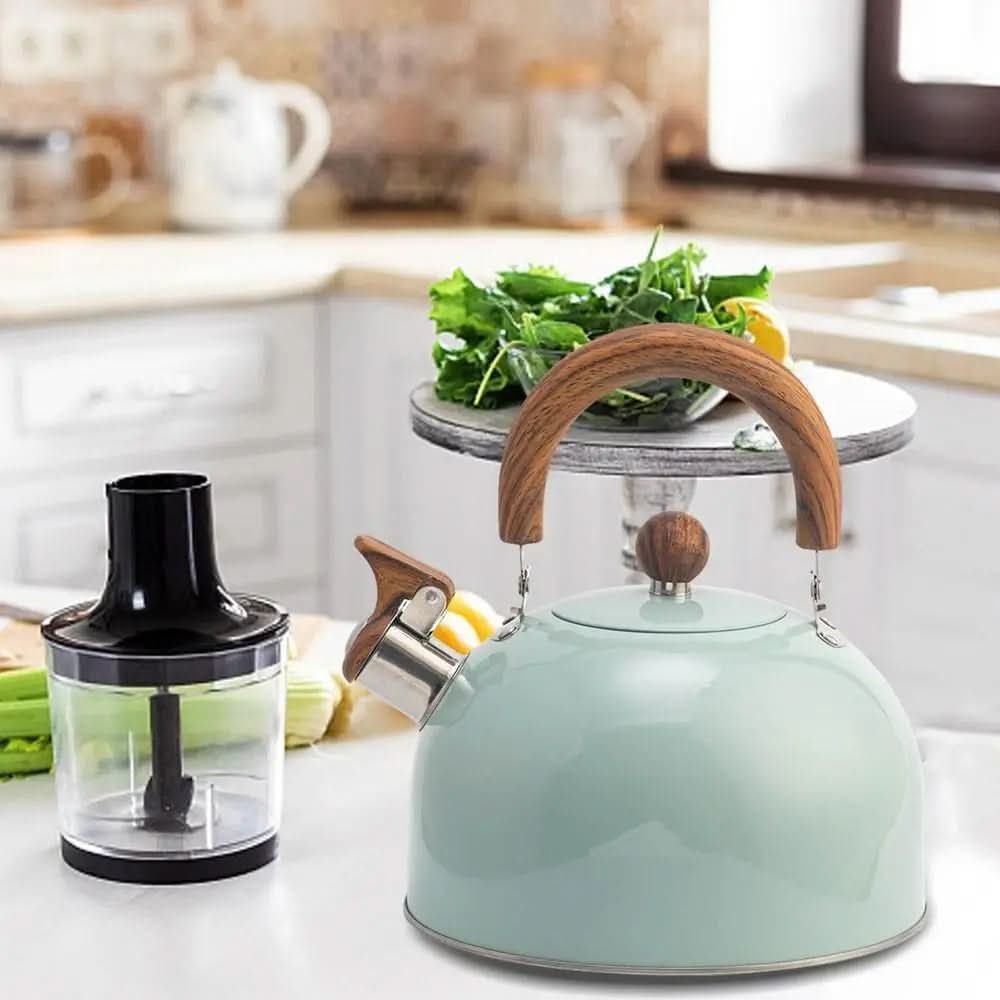 3L Electric Kettle for Family Use