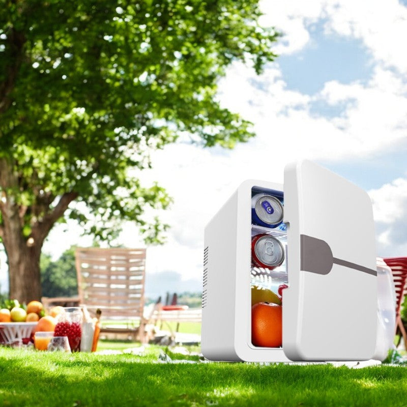 6L Thermoelectric Mini Fridge - Cooling & Warming - 12V & 220V