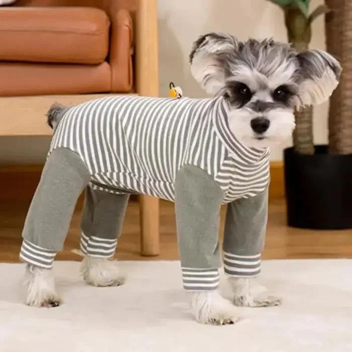 Anti-Lick Dog Recovery Suit