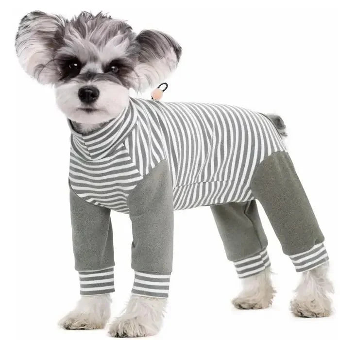 Anti-Lick Dog Recovery Suit