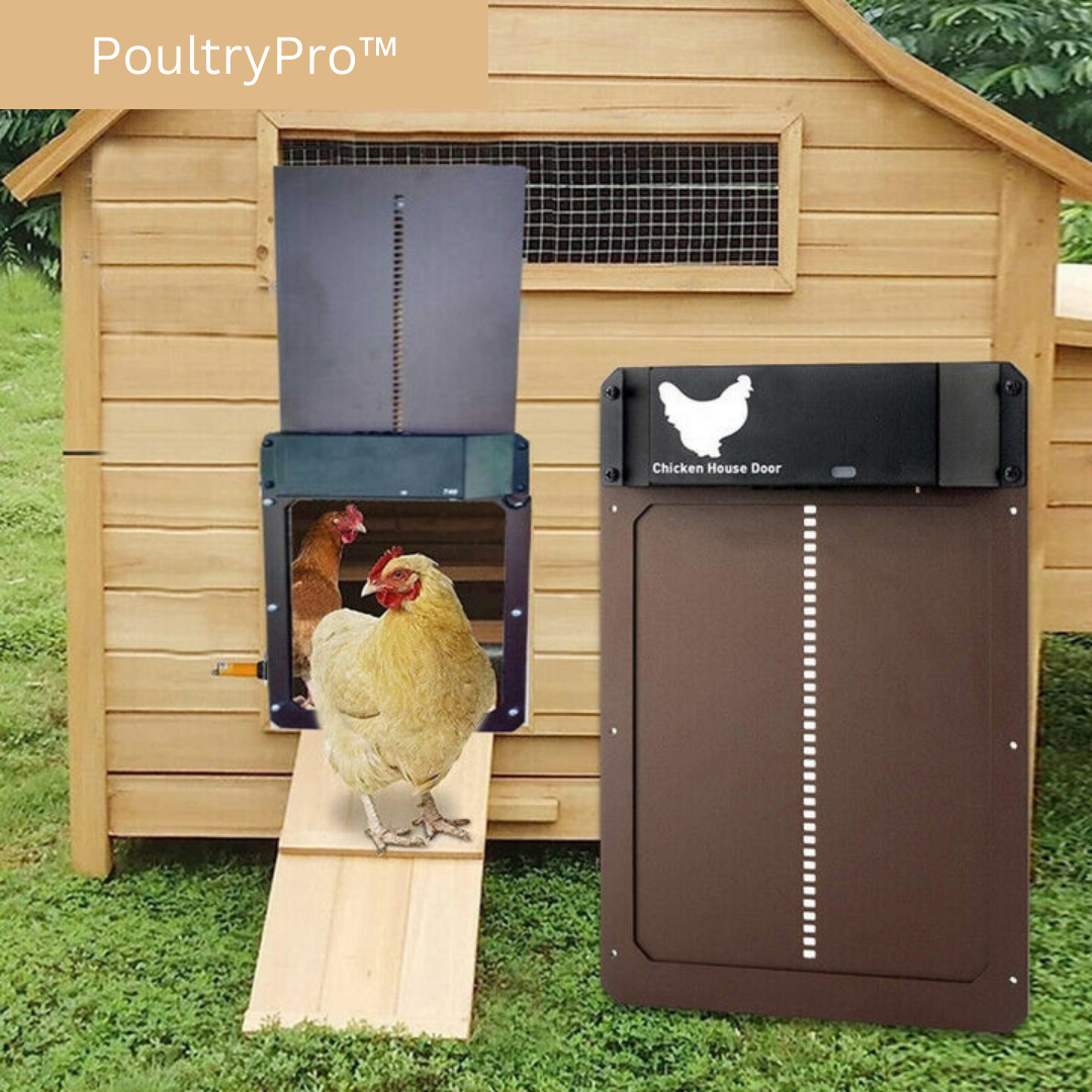 Automatic Chicken Coop Door with Light Sensor
