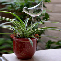 Automatic Glass Self-Waterer for Houseplants