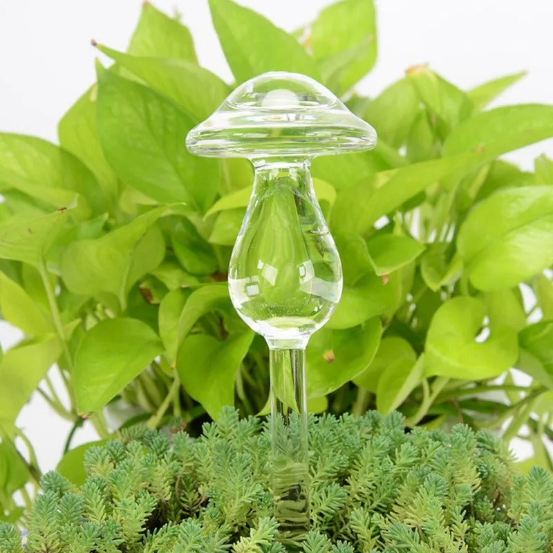 Automatic Glass Self-Waterer for Houseplants