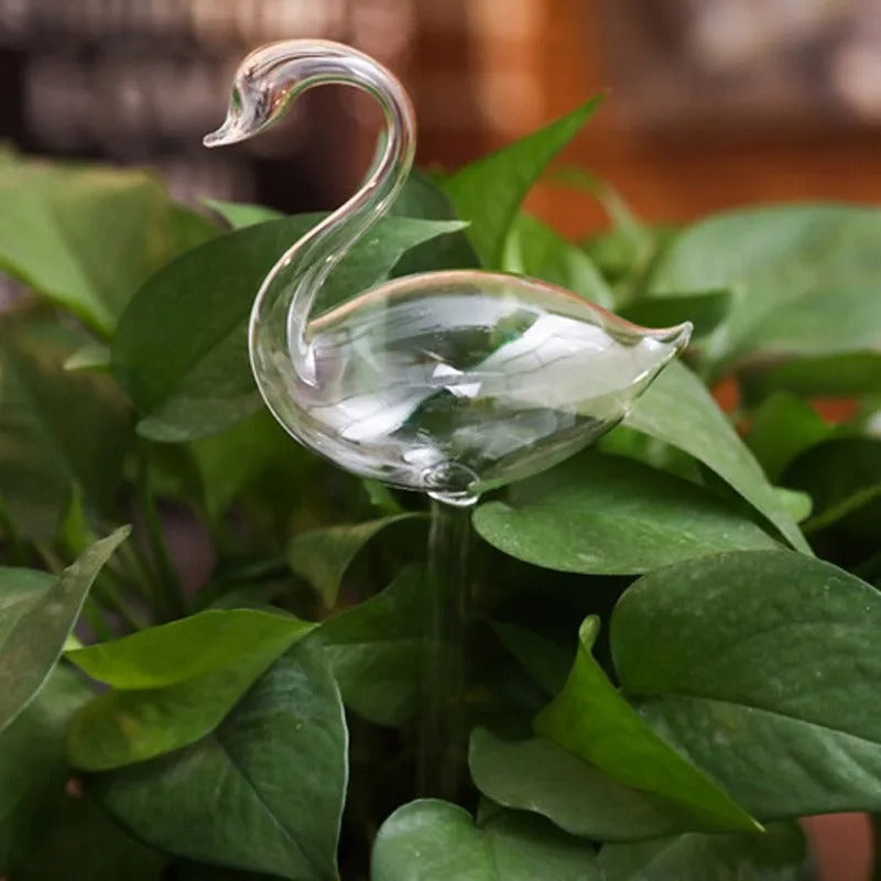 Automatic Glass Self-Waterer for Houseplants