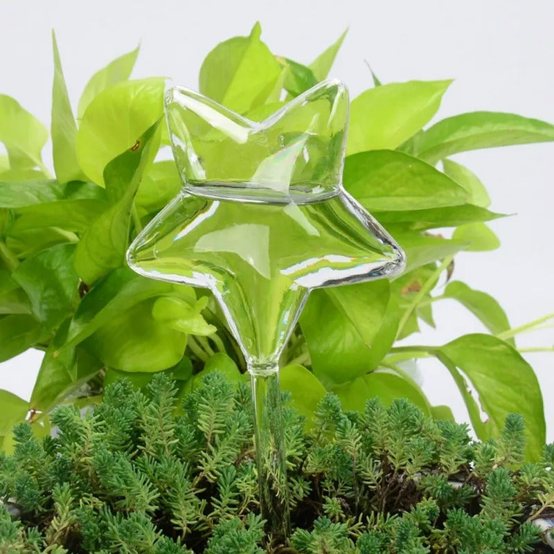 Automatic Glass Self-Waterer for Houseplants