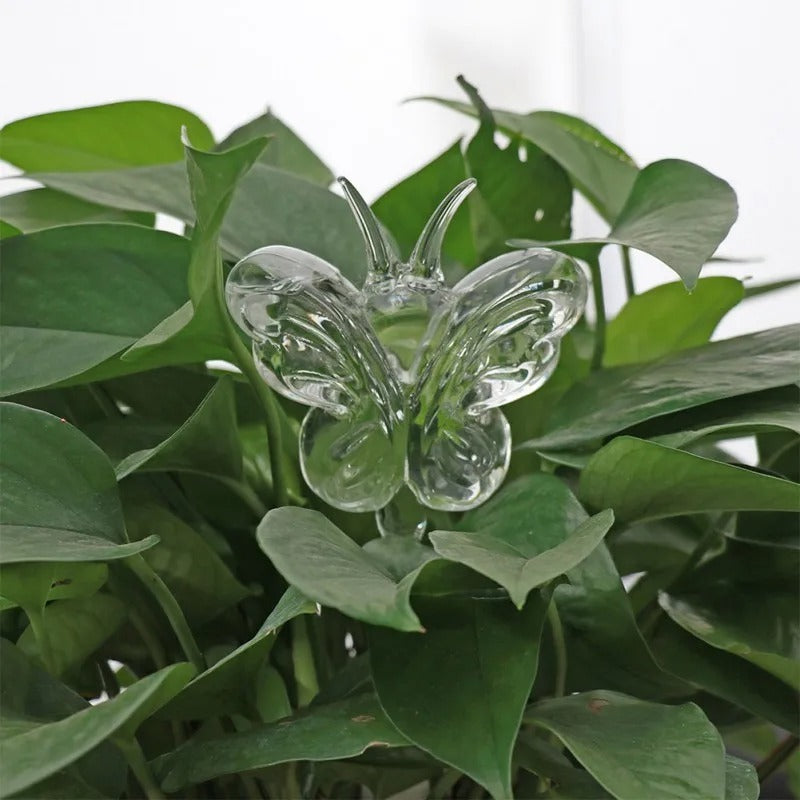 Automatic Glass Self-Waterer for Houseplants