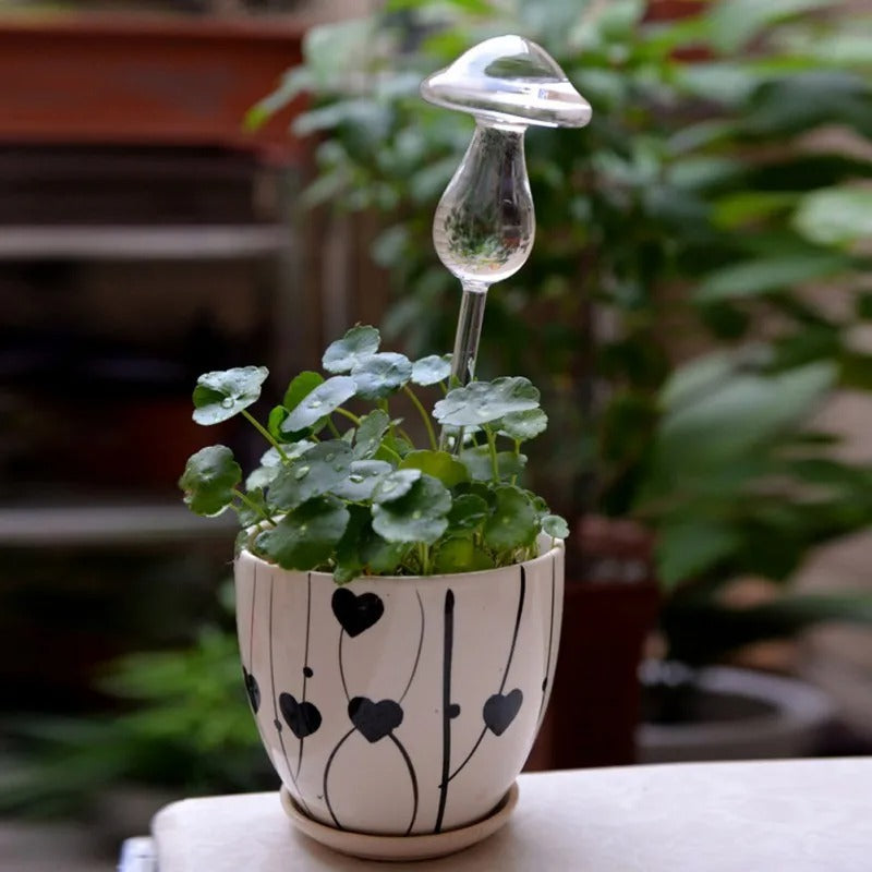 Automatic Glass Self-Waterer for Houseplants