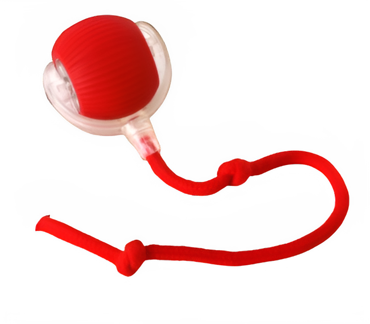 Automatic Interactive Cat Ball Toy