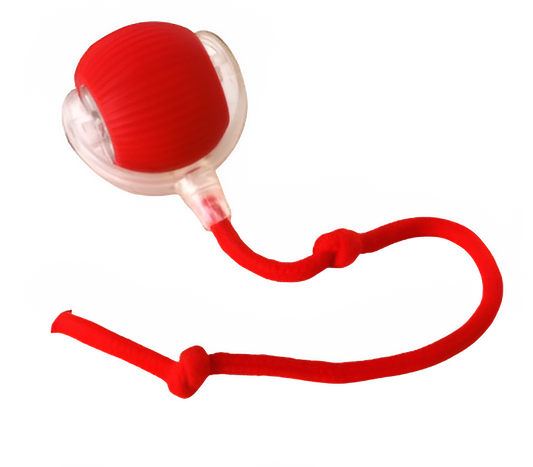 Automatic Interactive Cat Ball Toy