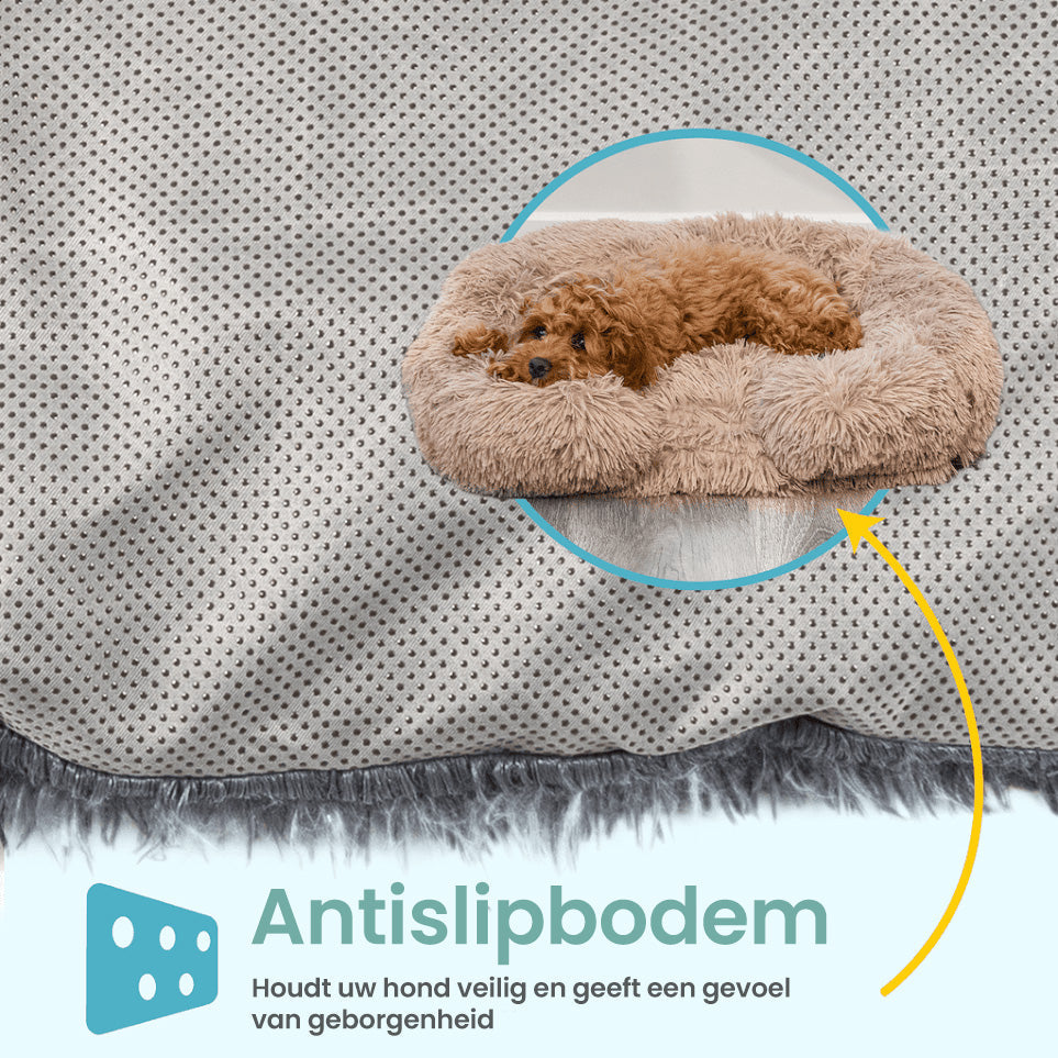 Calming Memory Foam Dog Bed