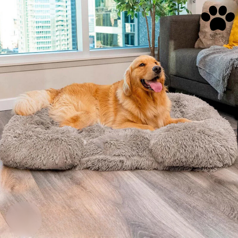 Calming Memory Foam Dog Bed
