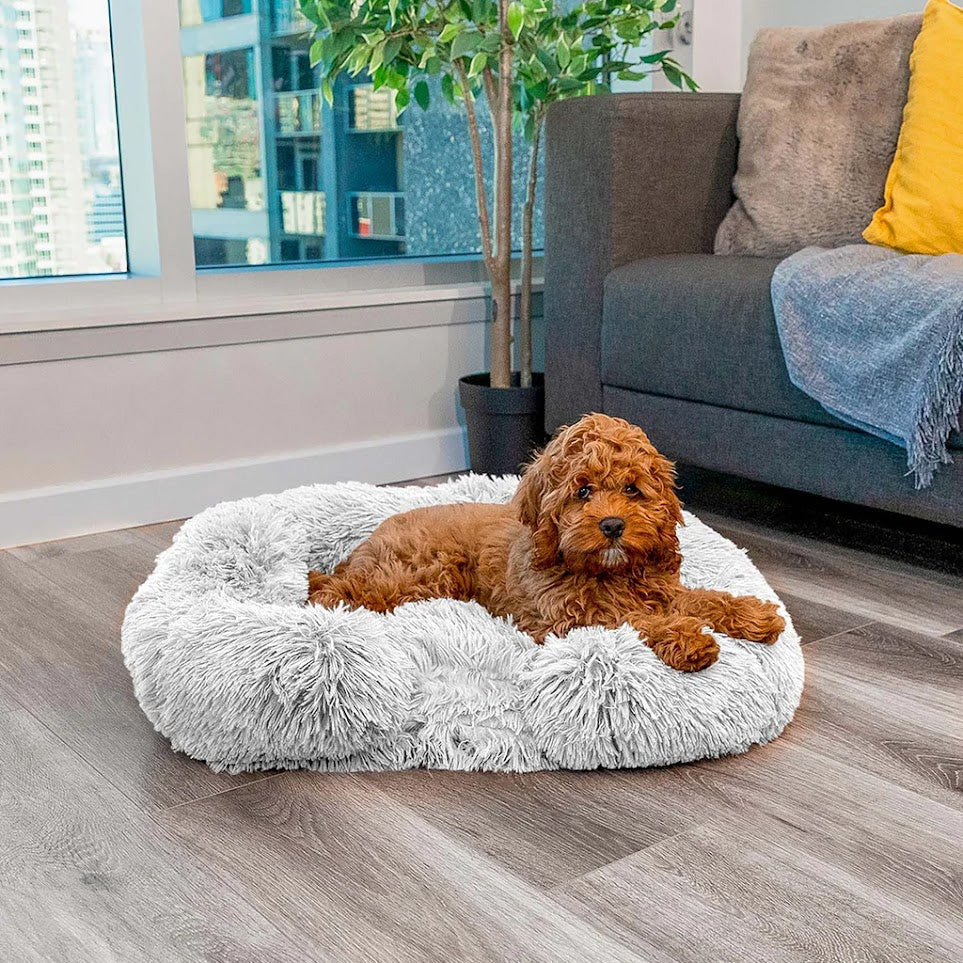 Calming Memory Foam Dog Bed