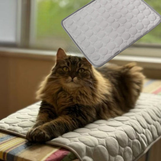 Cat Cooling Mat