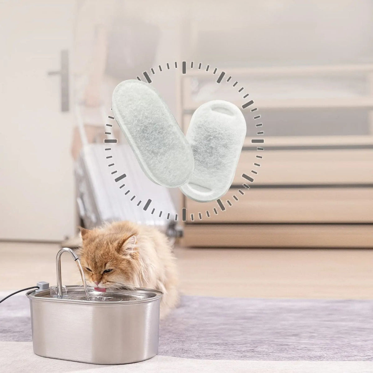Cat Water Fountain Filters