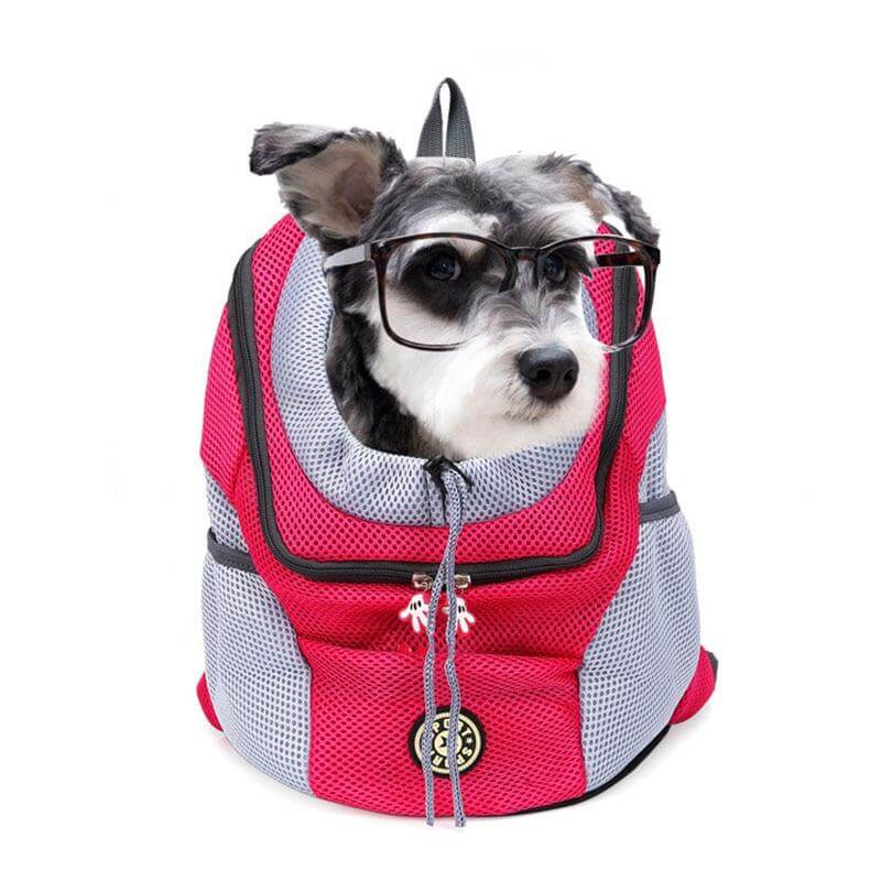 Comfortable and Sturdy Pet Backpack