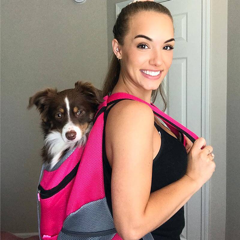 Comfortable and Sturdy Pet Backpack