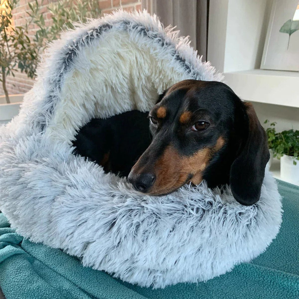 Cozy Cave Pet Bed - Calming and Comfortable Dog Bed for Deep Relaxation