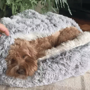 Cozy Cave Pet Bed - Calming and Comfortable Dog Bed for Deep Relaxation