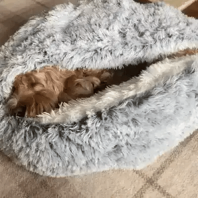 Cozy Cave Pet Bed - Calming and Comfortable Dog Bed for Deep Relaxation
