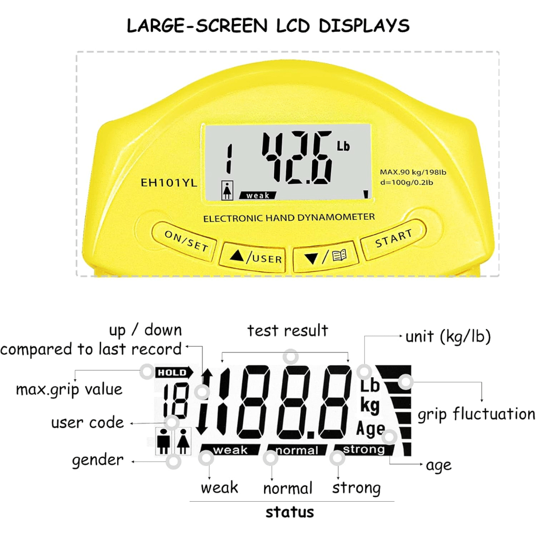 Digital Hand Dynamometer for Accurate Grip Strength Measurement