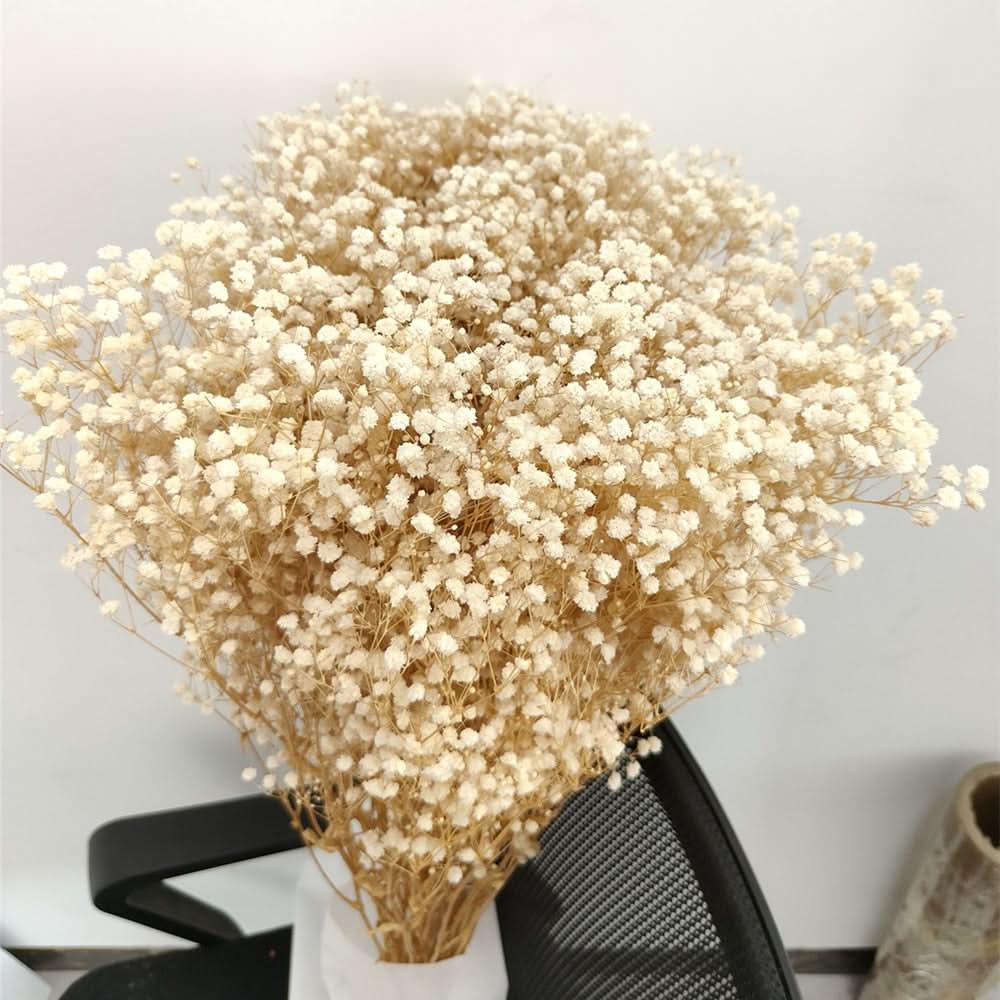 Dried and Preserved Gypsophila Flower Bouquet – Natural Decor