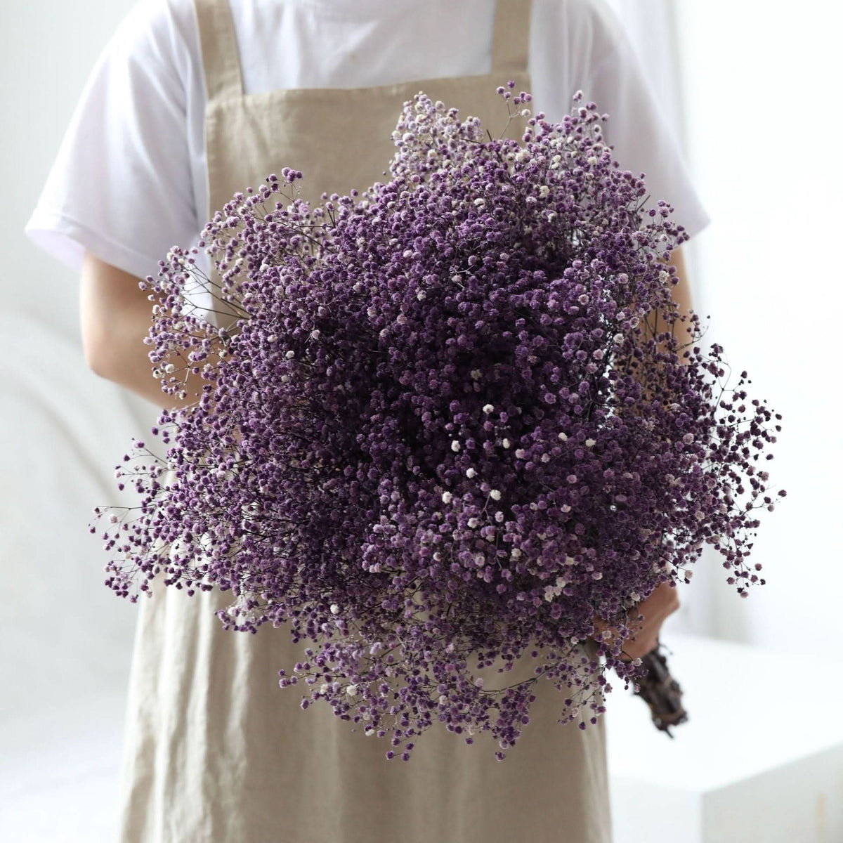 Dried and Preserved Gypsophila Flower Bouquet – Natural Decor