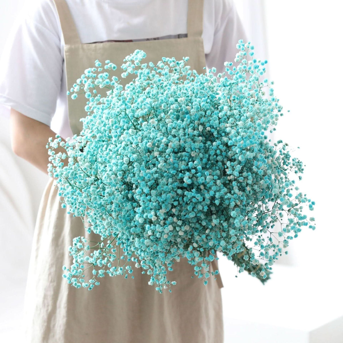 Dried and Preserved Gypsophila Flower Bouquet – Natural Decor
