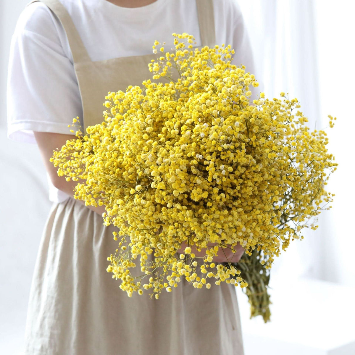 Dried and Preserved Gypsophila Flower Bouquet – Natural Decor
