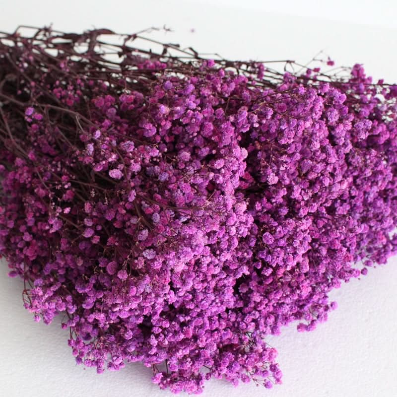 Dried and Preserved Gypsophila Flower Bouquet – Natural Decor