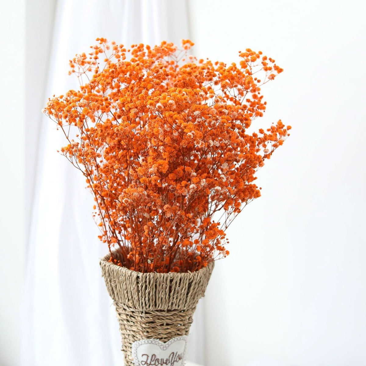 Dried and Preserved Gypsophila Flower Bouquet – Natural Decor