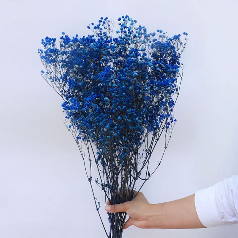 Dried and Preserved Gypsophila Flower Bouquet – Natural Decor