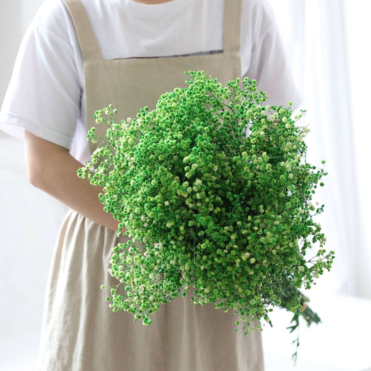 Dried and Preserved Gypsophila Flower Bouquet – Natural Decor