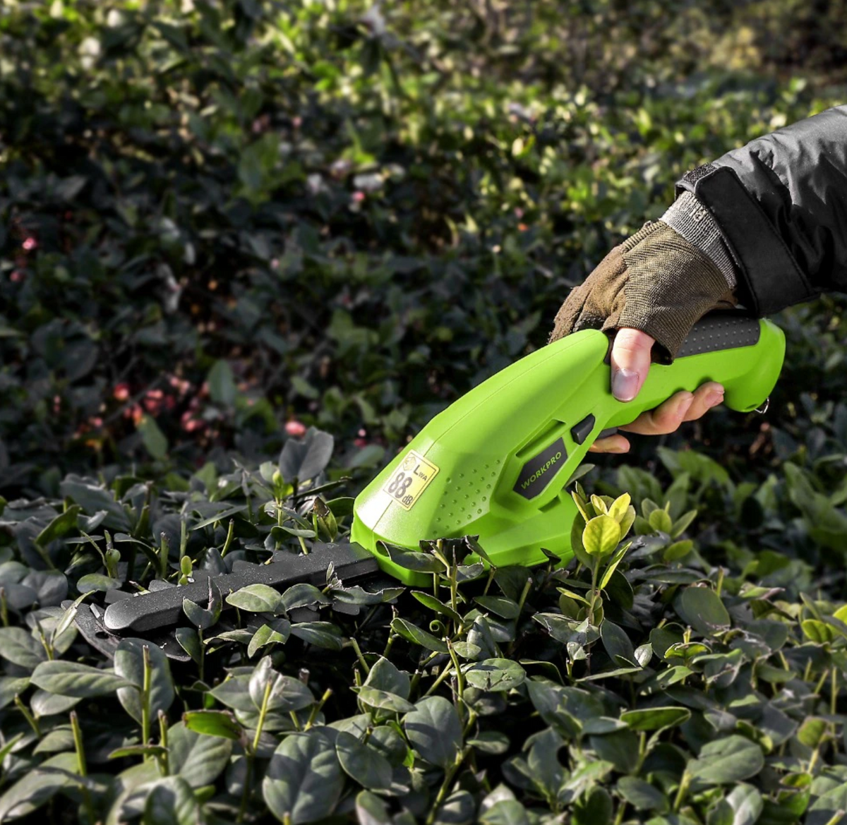 Electric Hedge Trimmer: Efficient Pruning in an Instant