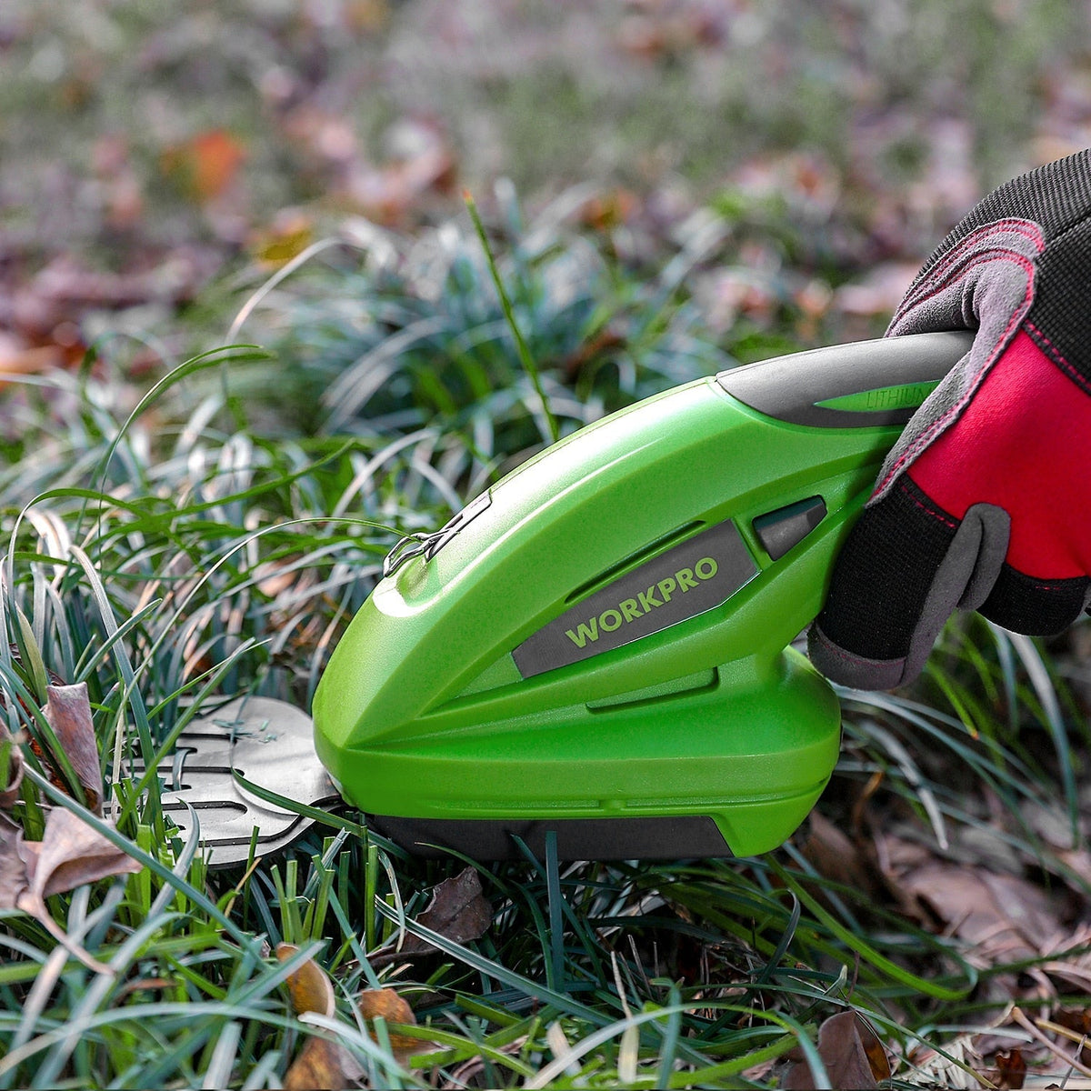 Electric Hedge Trimmer: Efficient Pruning in an Instant