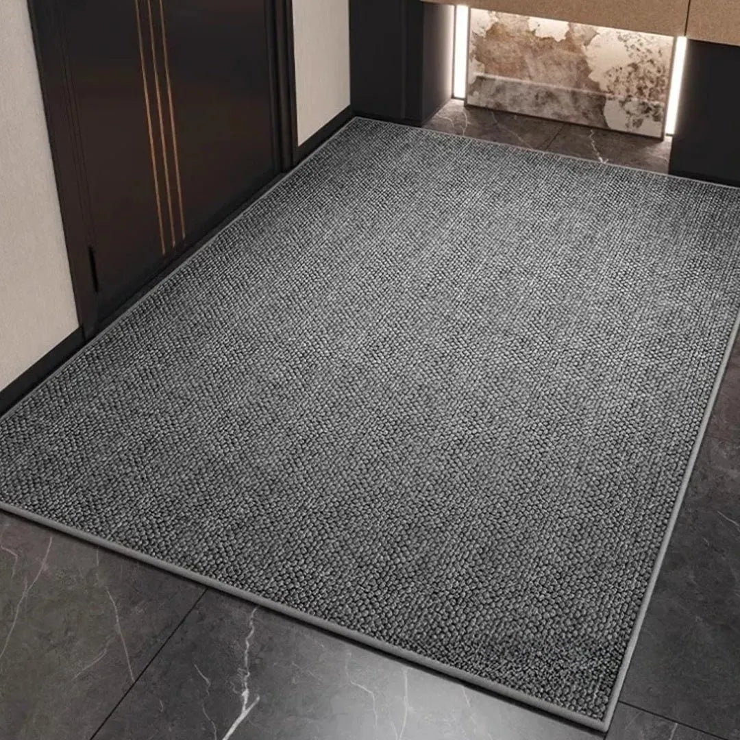 Front Door Entrance Mat with Modern Design
