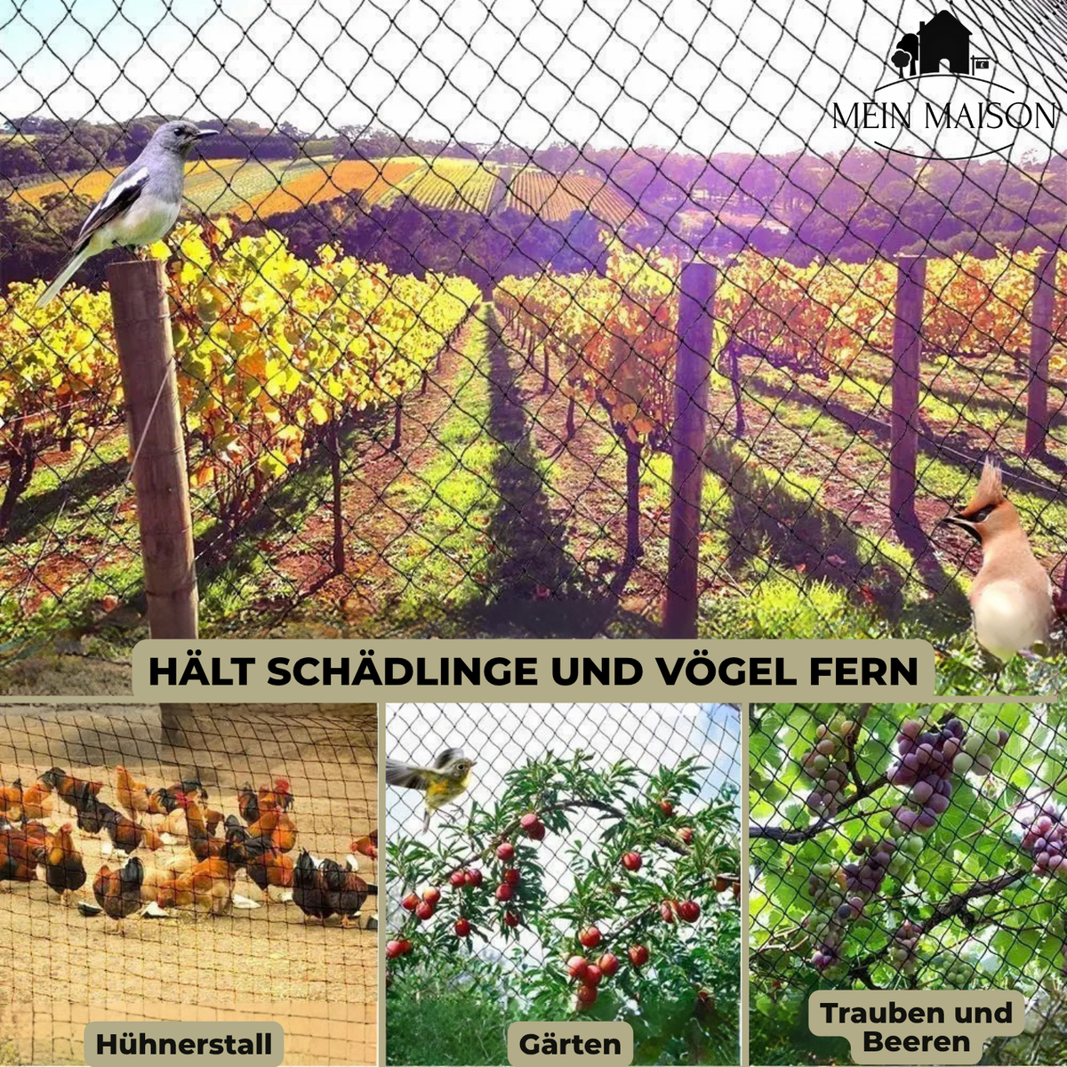 Garden Netting | UV & Tear-Resistant | Versatile Plant Protection | Available in Custom Sizes