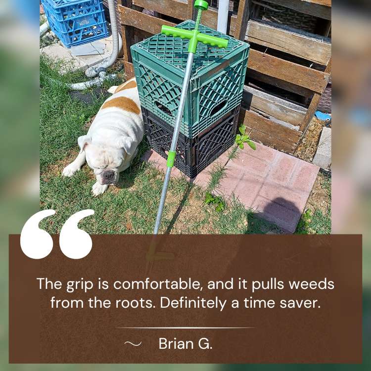 Garden Weed Puller