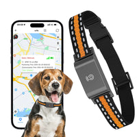 GPS Dog and Cat Collar – Unlimited Range Real-Time Tracker