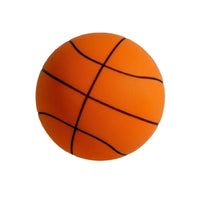 Indoor Silent Training Basketball