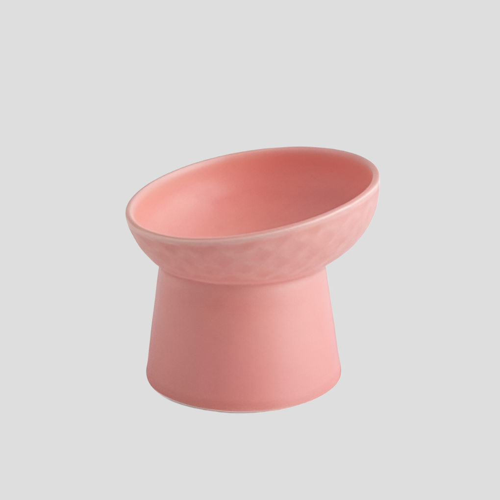 Nordic-Style Tilted Ceramic Cat Bowl