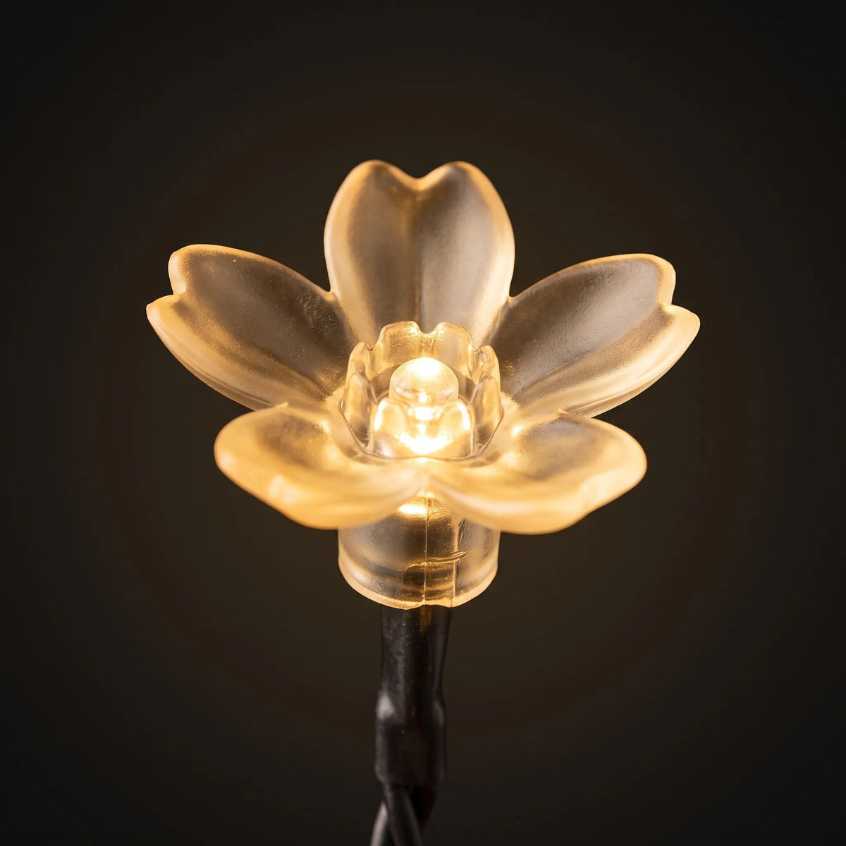 Outdoor Solar LED Flower String Lights for Garden