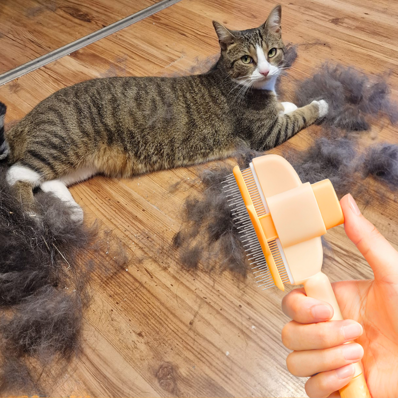 Pet Coat Care Brush