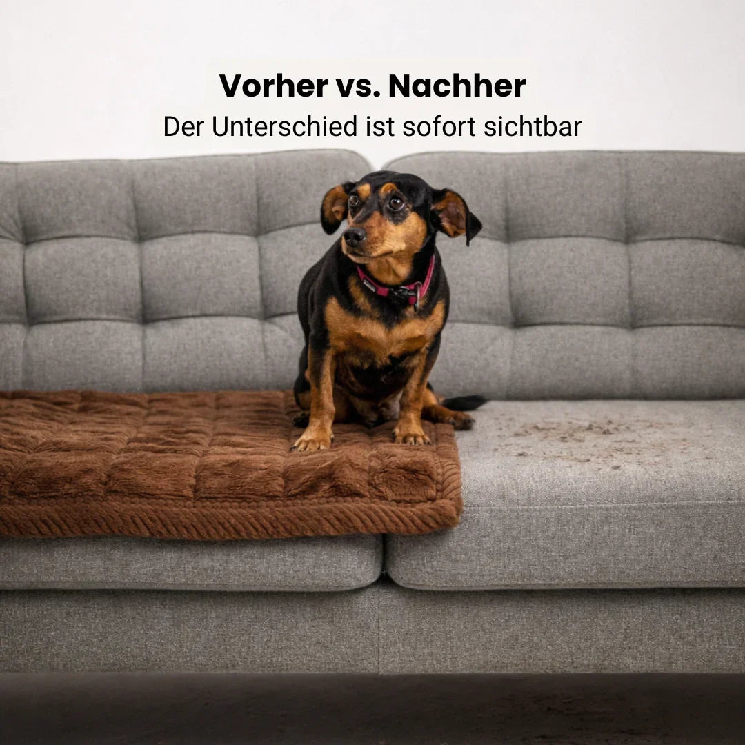 Pet Sofa Protector Mat