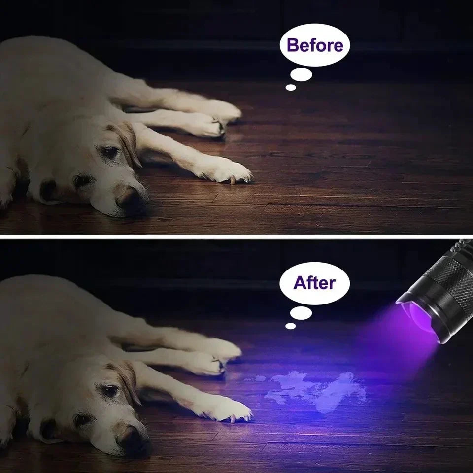 Portable LED UV Inspection Light — Compact 395nm Stain Detector