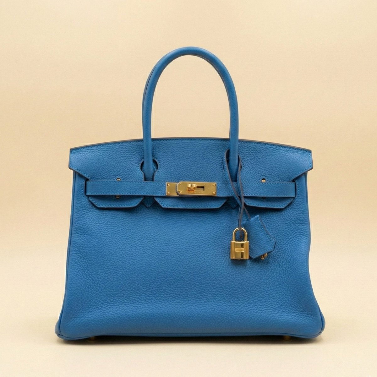 Premium Handbag