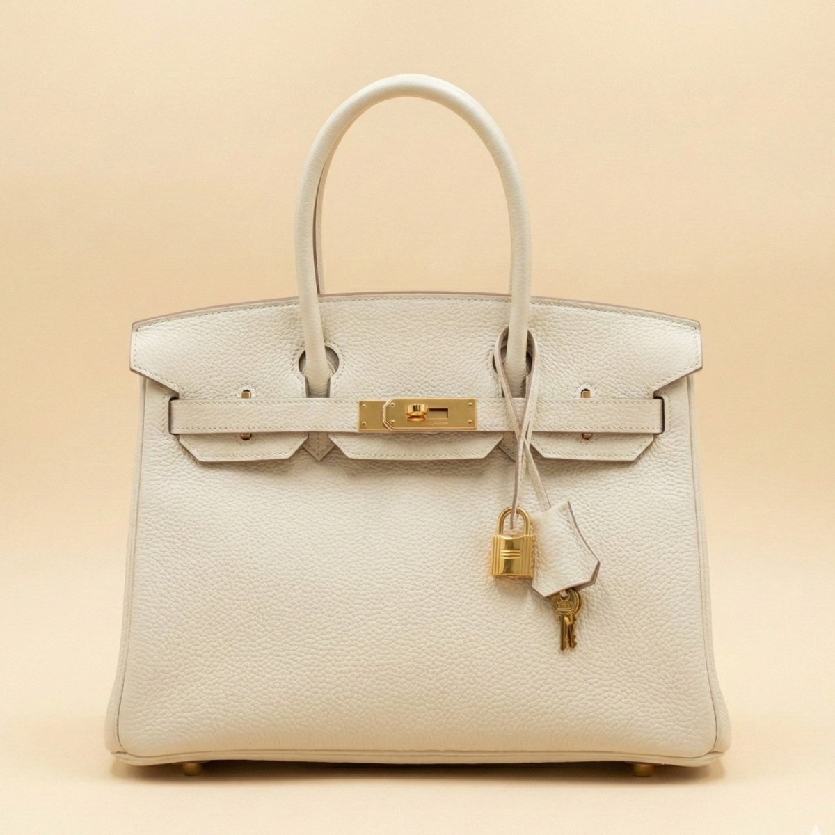 Premium Handbag