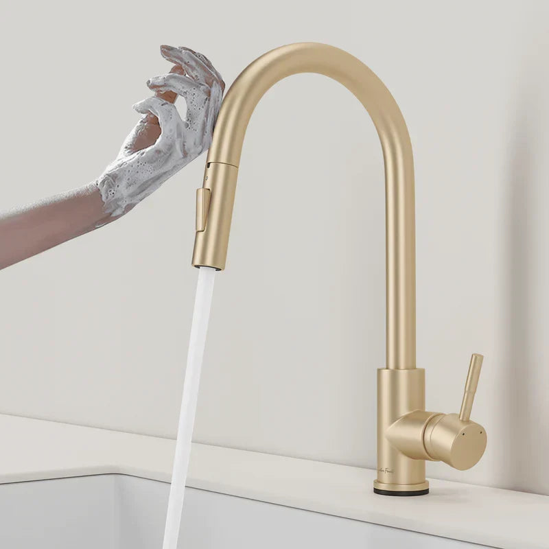 Premium Touch Pull-Down Kitchen Faucet