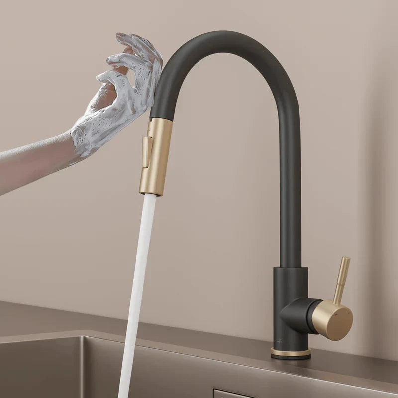 Premium Touch Pull-Down Kitchen Faucet