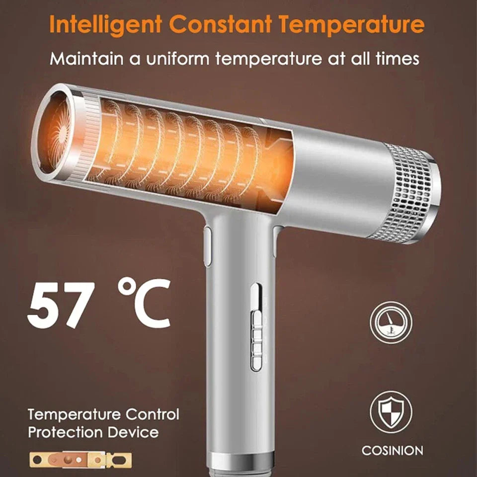 Professional Ionic Hair Dryer